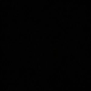 Meet your Posher, Alisa